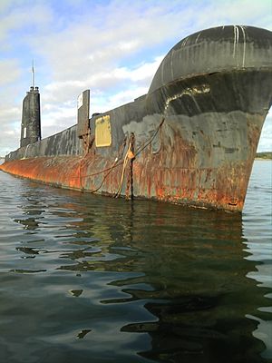 Otama Submarine Lookout Track | The Esplanade, Crib Point VIC 3919, Australia | Phone: 0476 109 223