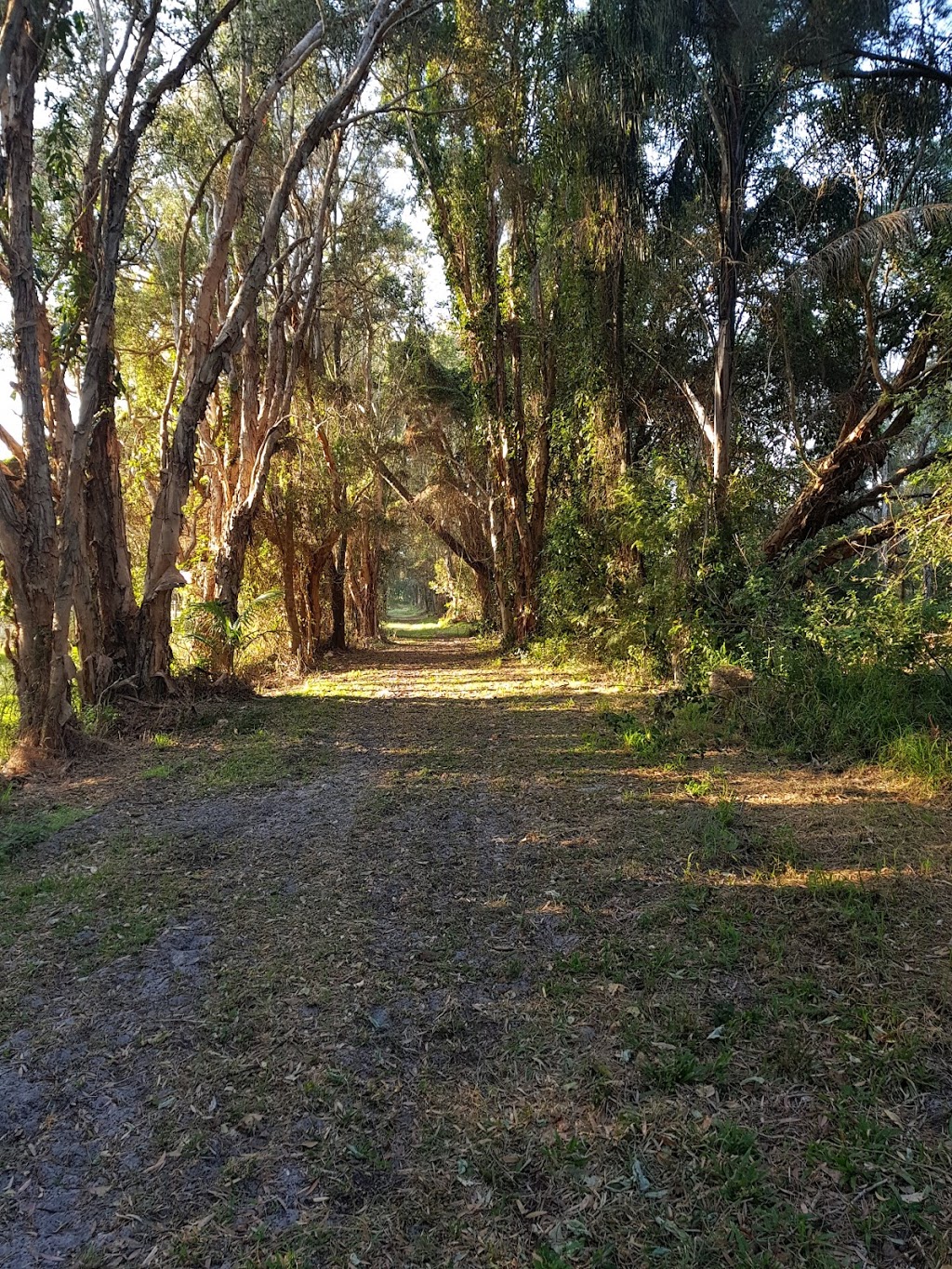 Beachmere Conservation Park | He Corbould Park, 199 Bishop Rd, Beachmere QLD 4510, Australia