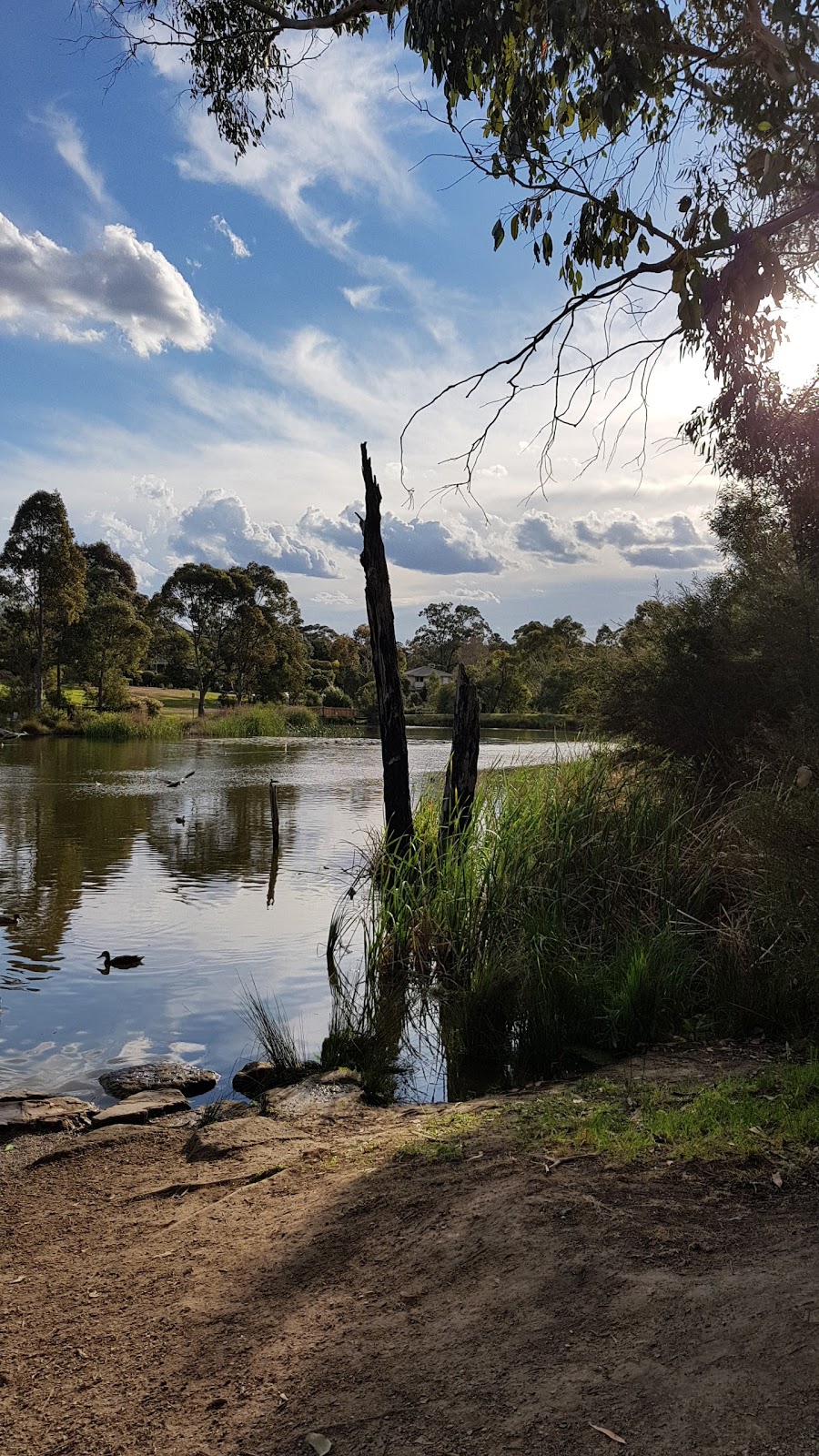 Candlebark Walk Reserve | park | 57 Croydon Hills Dr, Croydon Hills VIC 3136, Australia