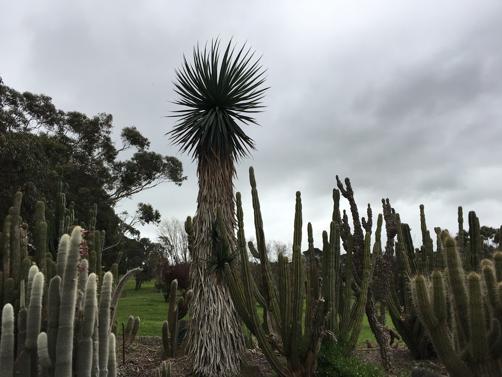 G.A Dodd Memorial Cactus Garden | Mount Gambier SA 5290, Australia