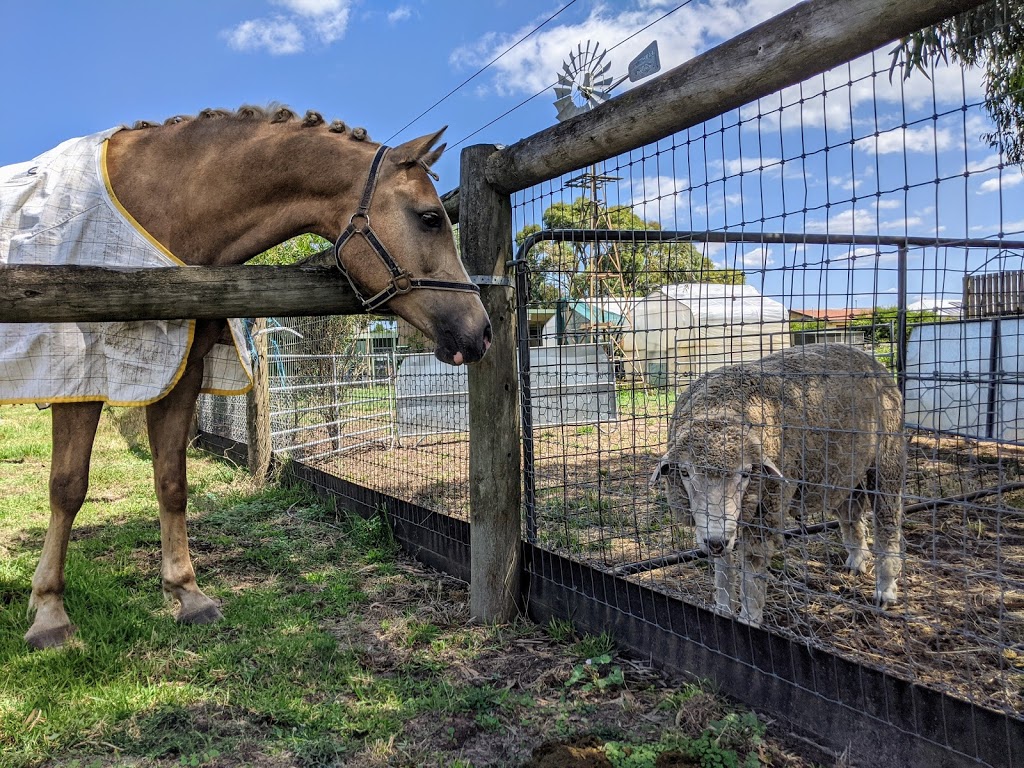 Ayr Hill Equestrian Centre | Gate 4/500 Soldiers Rd, Clyde North VIC 3978, Australia | Phone: 0411 055 790