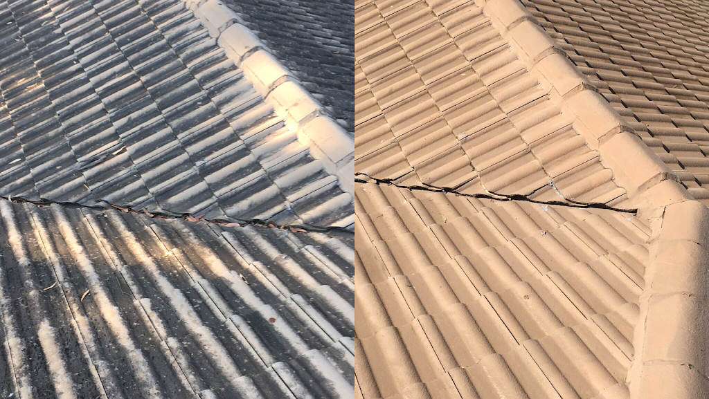 Newton Roof Cleaning - Soft Wash Specialists Servicing Gold Coas | 4 Rarotonga Rise, Pacific Pines QLD 4211, Australia | Phone: 0457 551 346