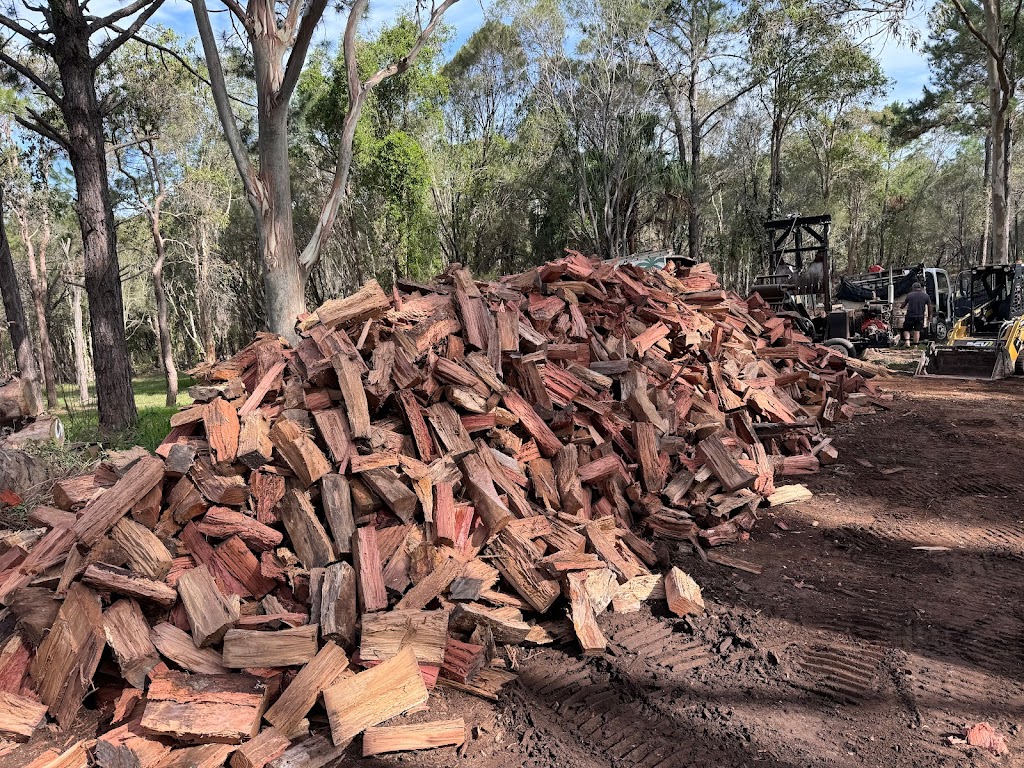 Bayside Trees & Palms | 69 Taylor Rd, Thornlands QLD 4163, Australia | Phone: 0451 785 940