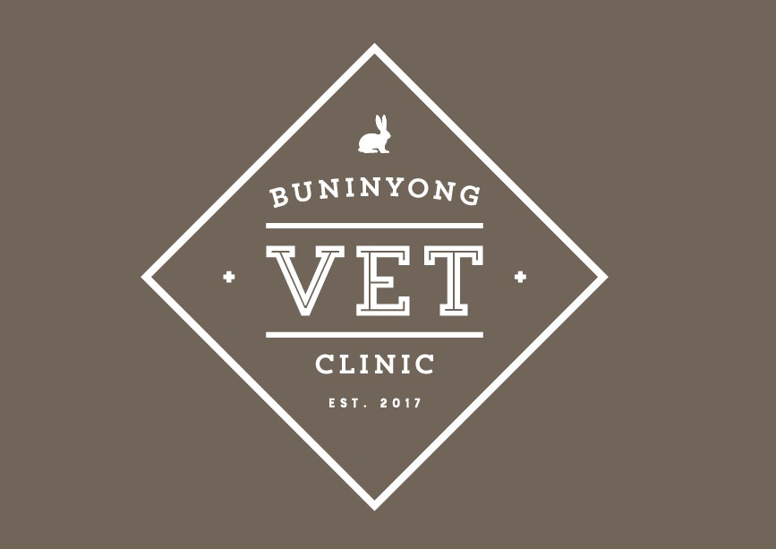 Buninyong Veterinary Clinic | veterinary care | 316A Learmonth St, Buninyong VIC 3357, Australia | 0353129727 OR +61 3 5312 9727