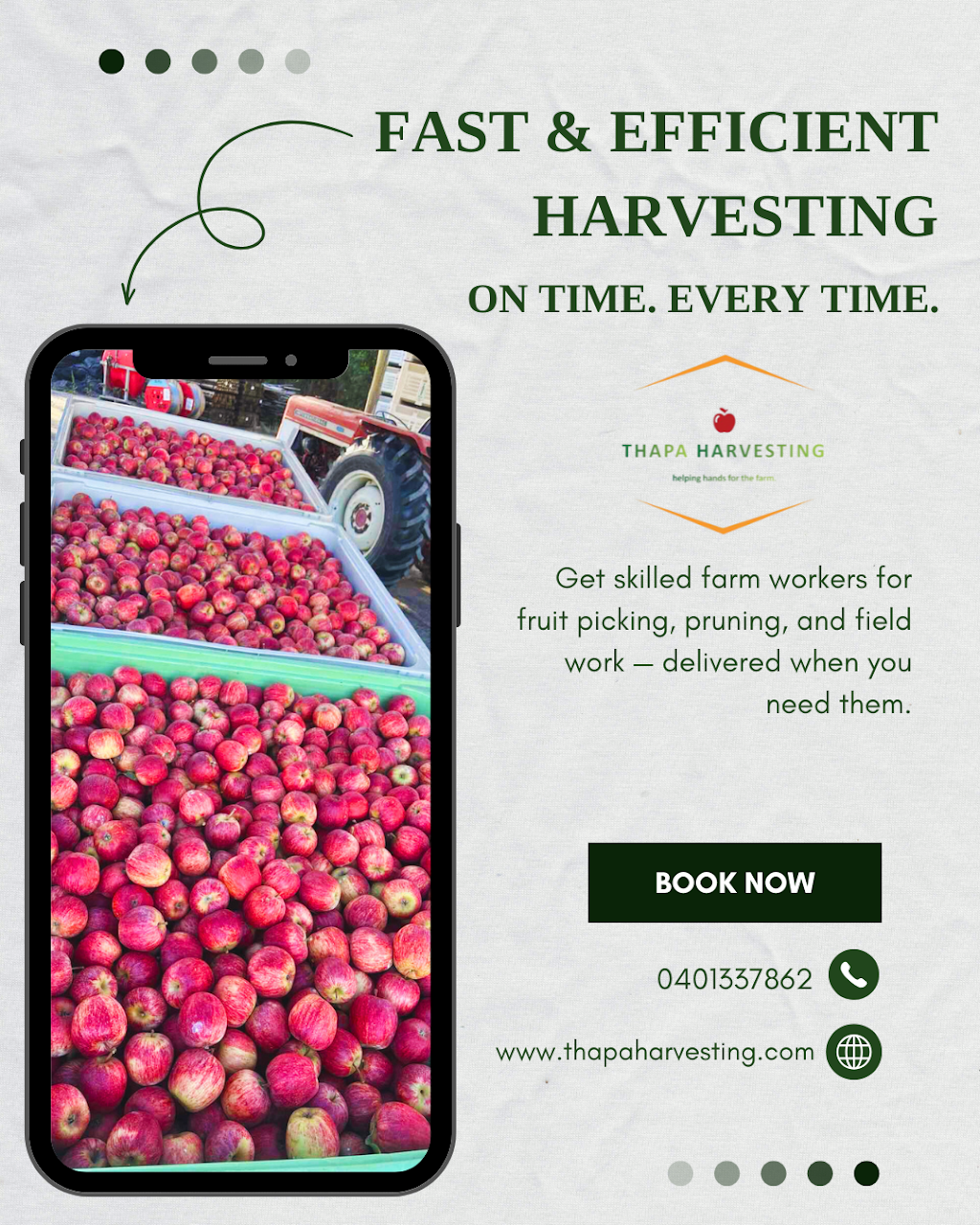 Thapa Harvesting | 6 Haig St, The Summit QLD 4377, Australia | Phone: 0401 337 862