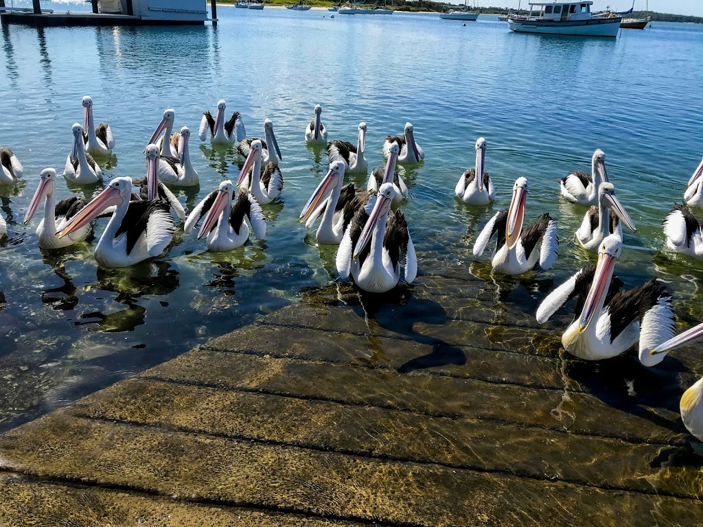 Marine Rescue Port Macquarie Boat Shed | 11A Buller St, Port Macquarie NSW 2444, Australia | Phone: (02) 6583 1966