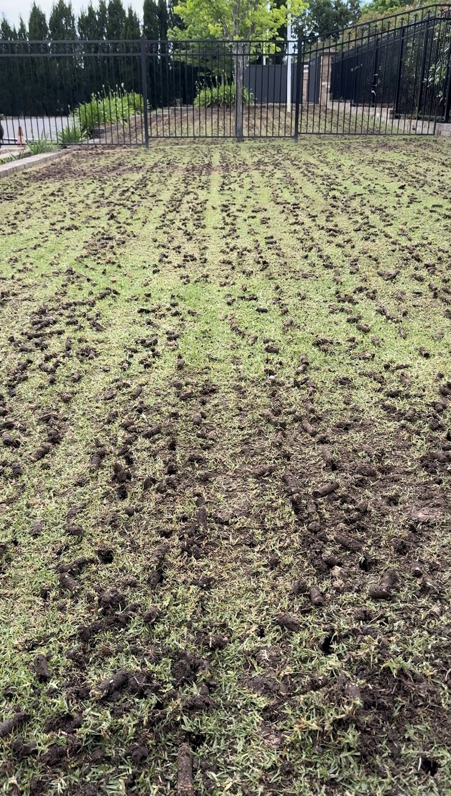 Precision Lawn Care and Turf Management | 1316 Mulgoa Rd, Mulgoa NSW 2745, Australia | Phone: 0449 923 312