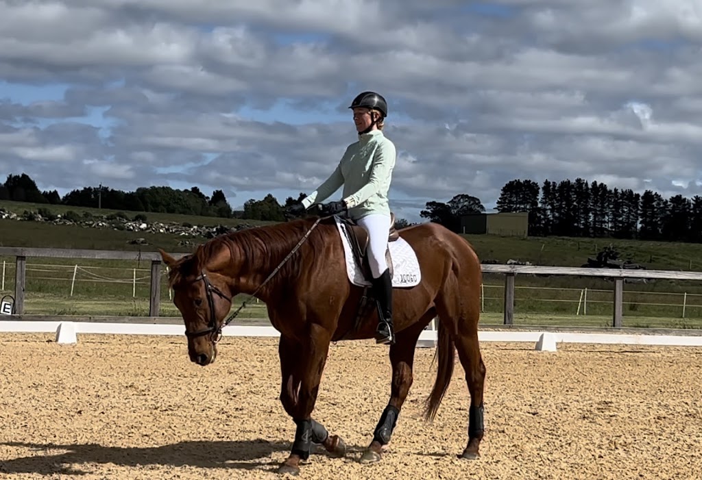 Heartland Horse Farm | 271 Exeter Rd, Sutton Forest NSW 2577, Australia | Phone: (02) 8424 6602