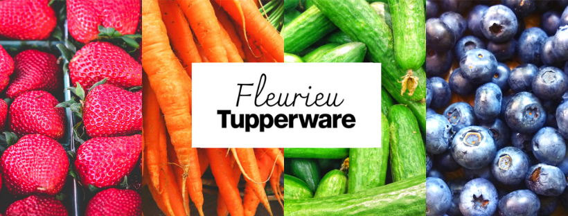 Fleurieu Tupperware | home goods store | Goolwa SA 5214, Australia | 0400294745 OR +61 400 294 745