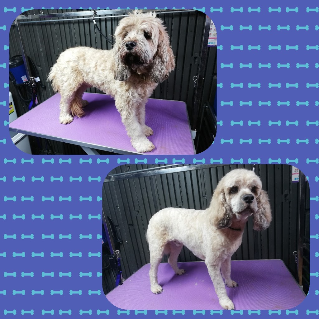 Lifetime Dog Grooming | 5 Terra Firma Cct, Clyde North VIC 3978, Australia | Phone: 0405 957 748