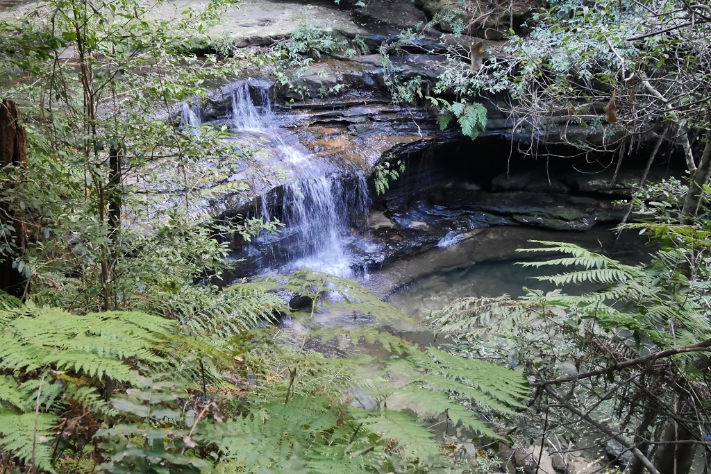 Terrace Falls Reserve | park | Hazelbrook NSW 2779, Australia