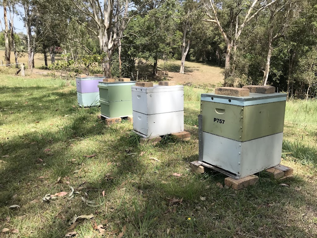 Geebung Honey Supplies - Pure & Natural |  | 12 Simla Ave, Geebung QLD 4034, Australia | 0423156429 OR +61 423 156 429