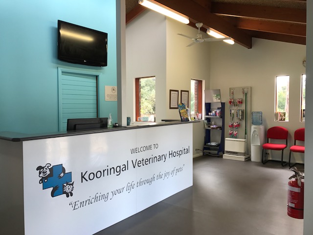 Kooringal Veterinary Hospital | veterinary care | 2 Kimberley Dr, Tatton NSW 2650, Australia | 0269225375 OR +61 2 6922 5375