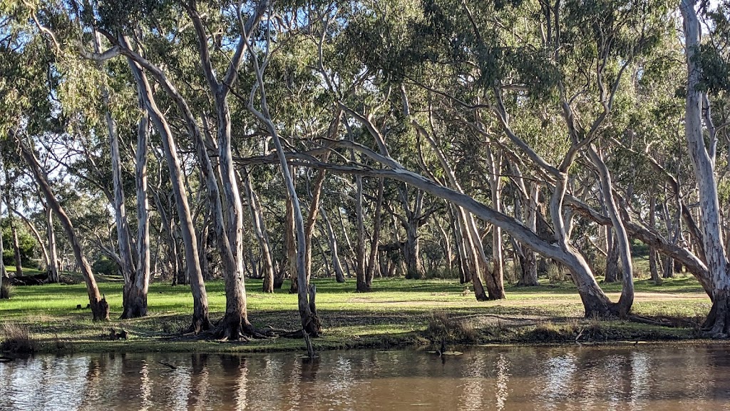 Cavendish River Camping | 9 Clarke St, Cavendish VIC 3314, Australia | Phone: 0499 048 184
