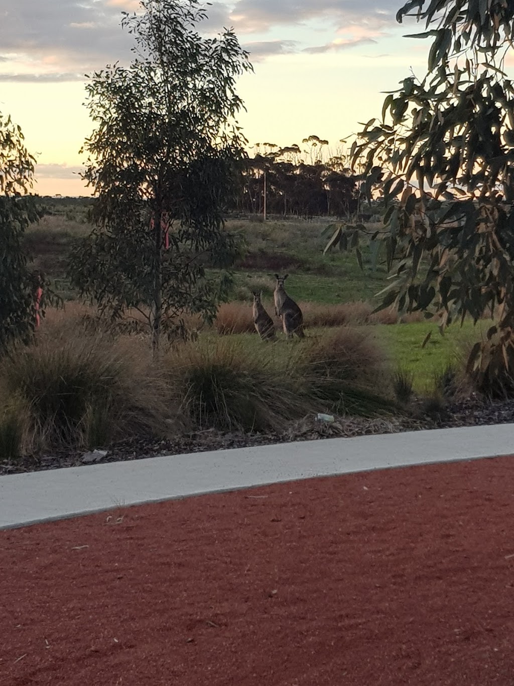 Botanica Estate Play Area | park | 26 Bregman Esplanade, Wyndham Vale VIC 3024, Australia | 1300334524 OR +61 1300 334 524