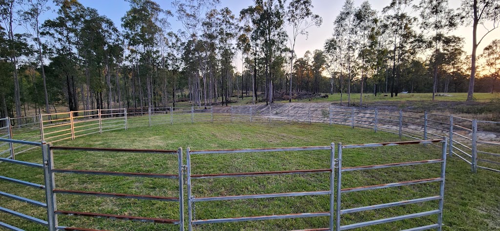 Valenor Equestrian | 231 Ramornie Station Rd, Ramornie NSW 2460, Australia | Phone: 0478 181 789