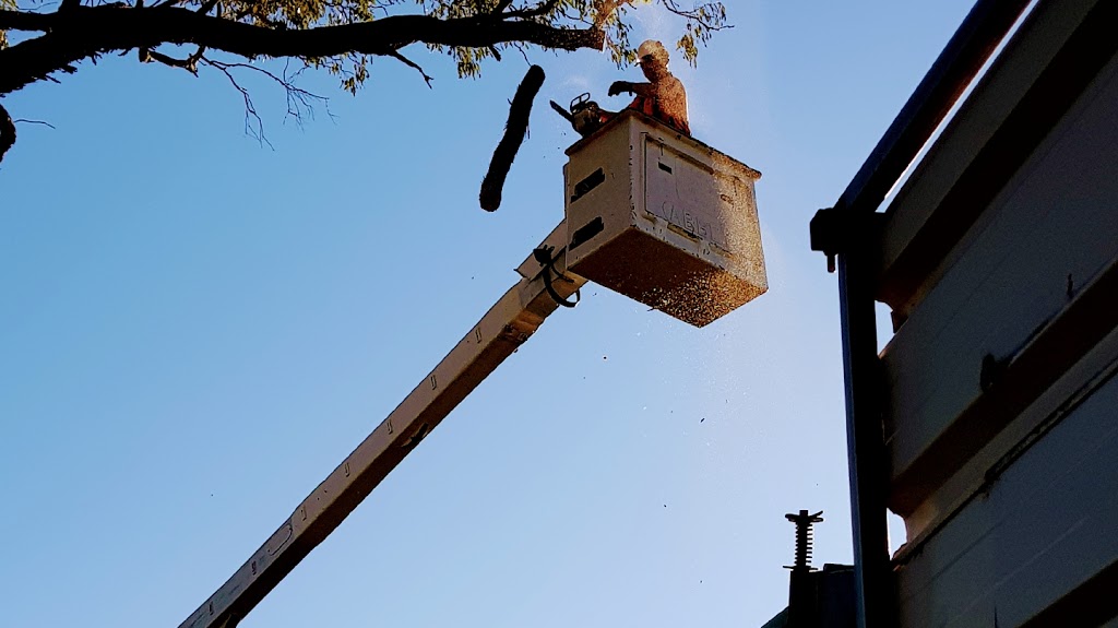 Bairnsdale Tree Services | 30 Bomfords Rd, Nicholson VIC 3882, Australia | Phone: 0427 330 704