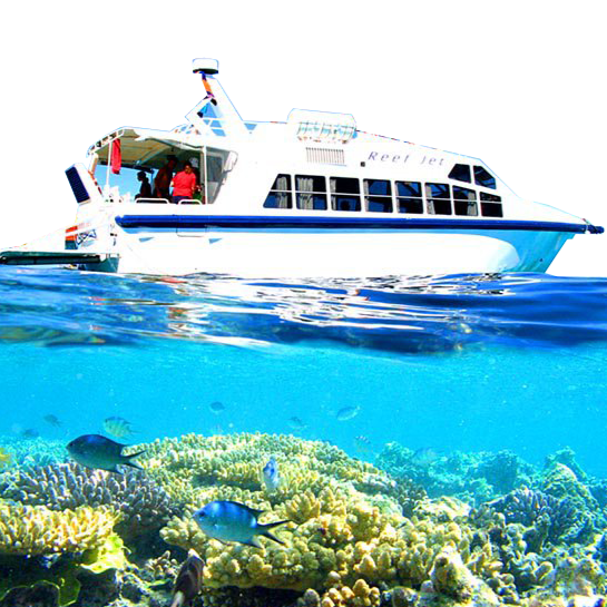 Reef Jet Tours | travel agency | Runaway Bay Marina Reef Jet Tours, 247 Bayview St., Gold Coast QLD 4216, Australia | 0404478480 OR +61 404 478 480