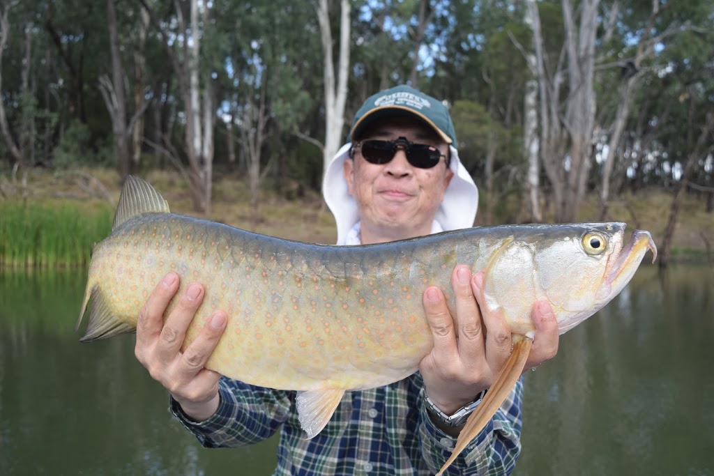 Mackay Fly & Sportfishing | 3 Nellie Ct, Mirani QLD 4754, Australia | Phone: (07) 4959 1777