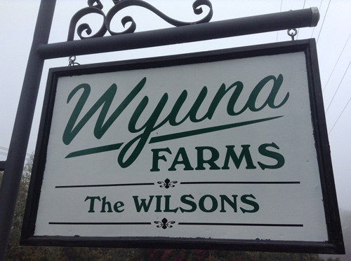 Wyuna Farms | George Downes Dr, Kulnura NSW 2250, Australia | Phone: (02) 4376 1218