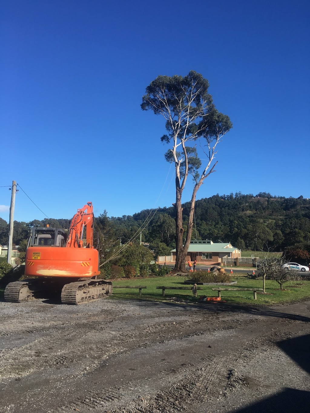 ALL TREE SOLUTIONS | East Devonport TAS 7310, Australia | Phone: 0448 043 474