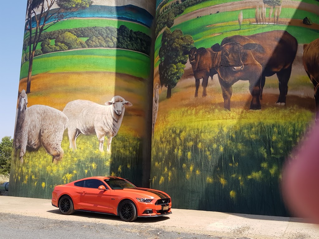 Grenfell Painted Silo by Heesco | tourist attraction | 42 West St, Grenfell NSW 2810, Australia | 0263432110 OR +61 2 6343 2110