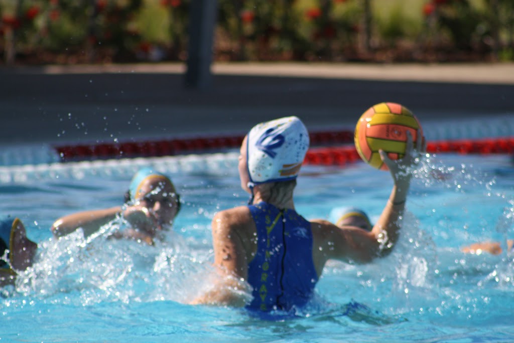 Northside Stingrays Water Polo Club | Moore St, Lavington NSW 2641, Australia | Phone: 0477 019 867