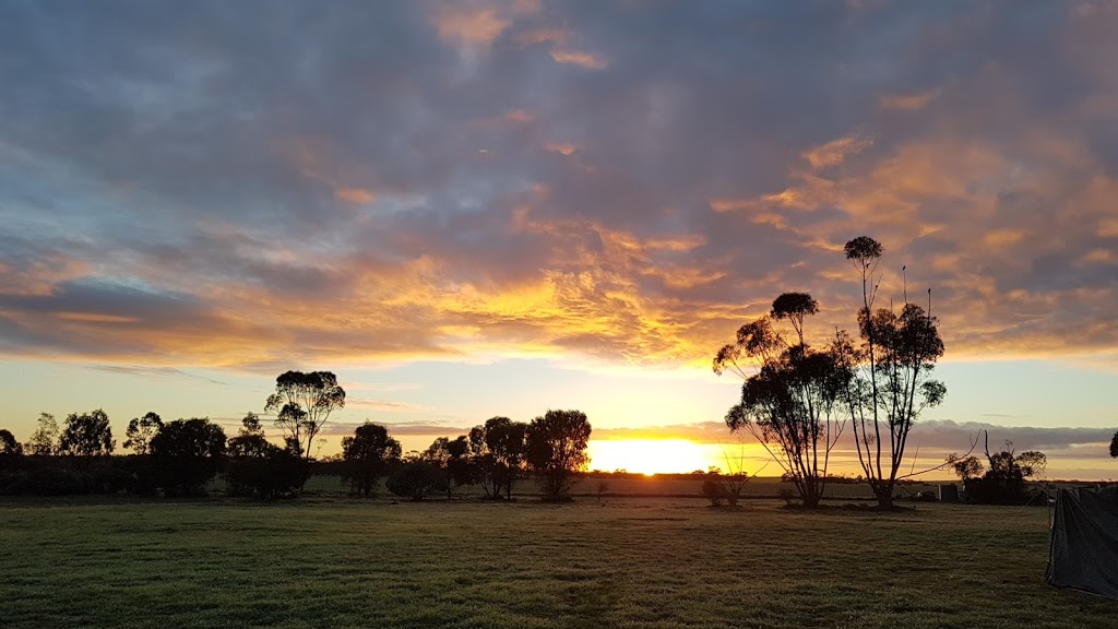 Patchewollock North Bushland Reserve | Ouyen-Patchewollock Rd, Patchewollock VIC 3491, Australia | Phone: 13 19 63