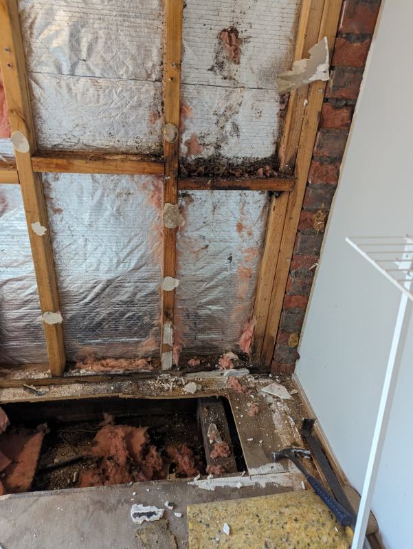 MouldMen - Mould Gone | 4/37 Expansion St, Molendinar QLD 4214, Australia | Phone: 1300 605 960