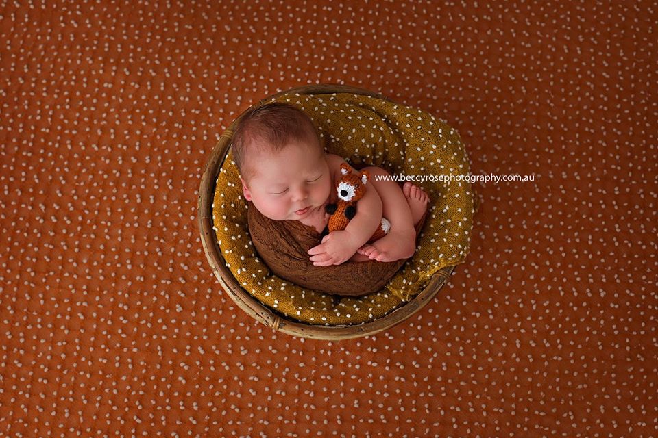 Newborn Photographer - BeccyRose Photography | 112 Aqua Promenade, Currumbin Valley QLD 4223, Australia | Phone: 0422 689 889