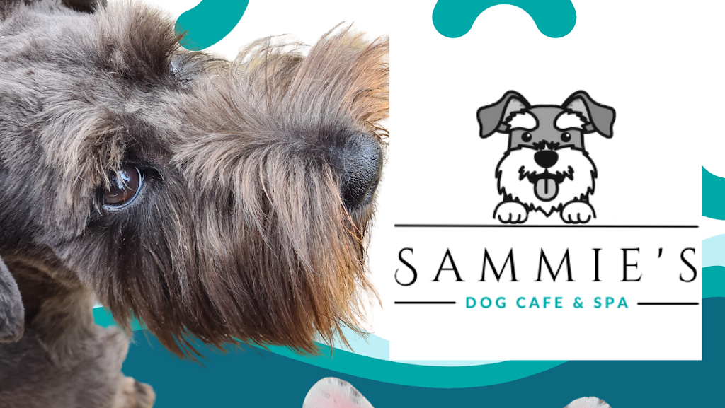 Sammies Dog Cafe & Spa | 2B Moonee Beach Rd, Moonee Beach NSW 2450, Australia | Phone: 0401 179 499