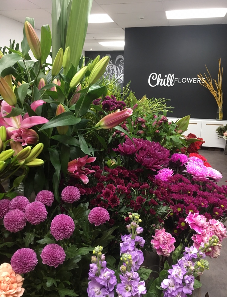 Chill Flowers | 5/31 North East Road, Collinswood SA 5081, Australia | Phone: (08) 8344 7229