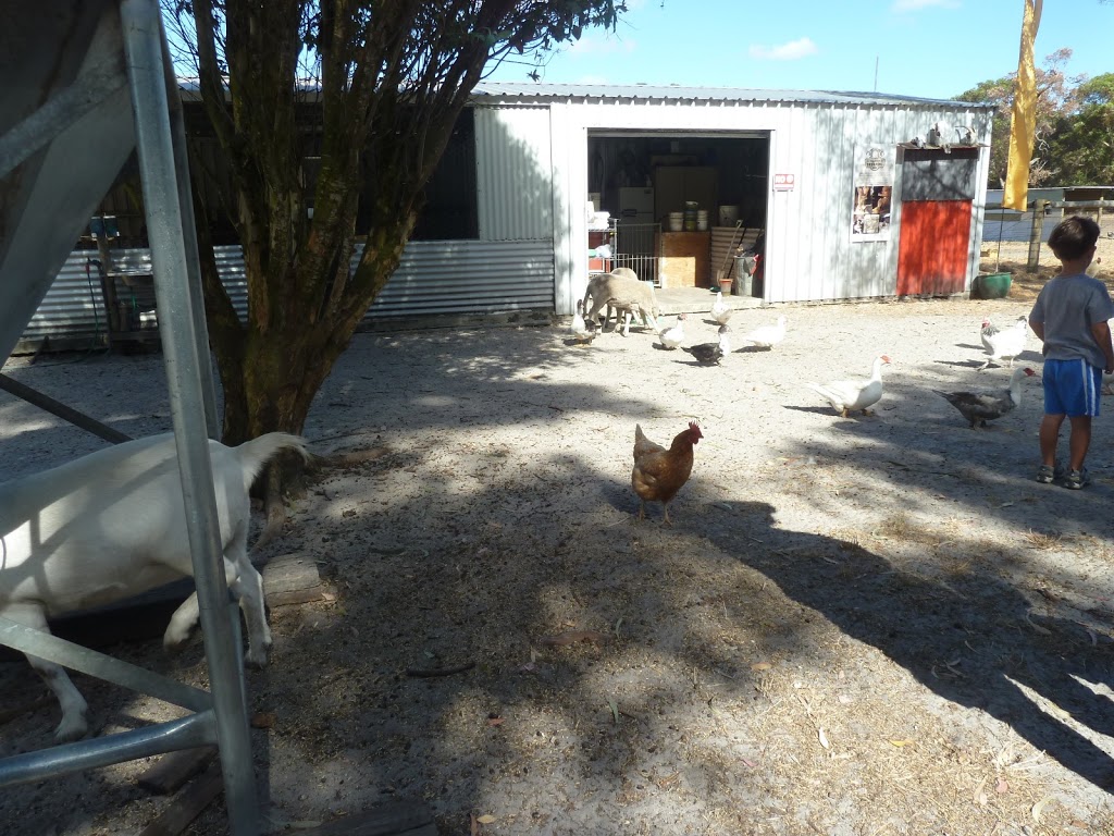 Kerriley Park Farmstay | 288 Yelverton N Rd, Busselton WA 6280, Australia | Phone: 0429 420 888