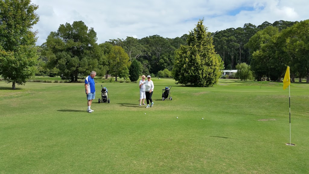 Erina Creek Golf Course | 325 The Entrance Rd, Erina NSW 2250, Australia | Phone: 0438 857 477