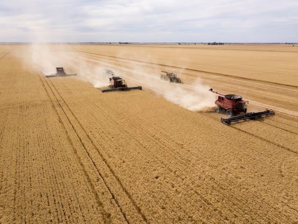 O’Connor Harvesting & Transport | Larcombe Ln, Deniliquin NSW 2710, Australia | Phone: 0459 991 131