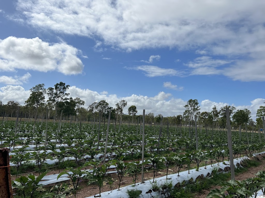 Khai Duy Farm | 27 Kelly Rd, Spring Creek QLD 4343, Australia | Phone: 0478 067 949