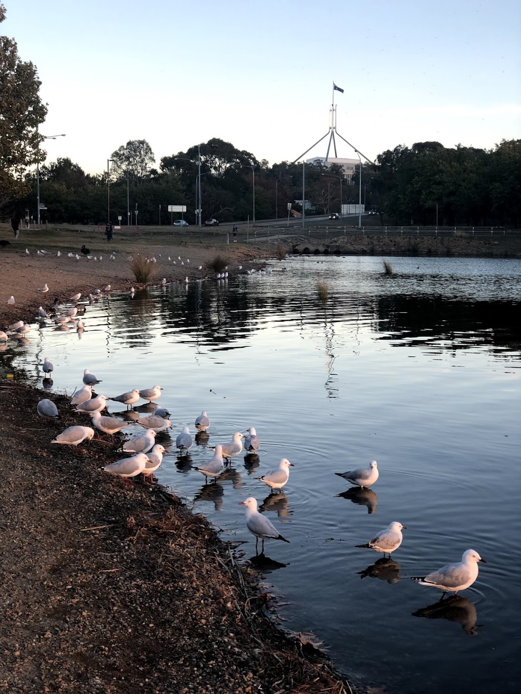 Lennox Gardens | park | Flynn Dr, Yarralumla ACT 2600, Australia | 132281 OR +61 132281