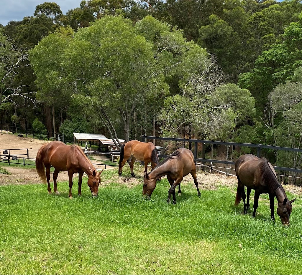 Sans Souci Respite Retreat | 39 Forest Rd, Cashmere QLD 4500, Australia | Phone: 0437 381 463