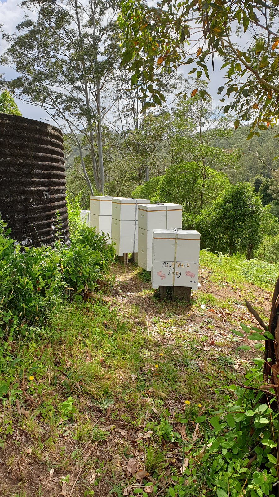 Misty Views Farm, home of Misty Views Honey™ | 60 Brush Creek Rd, Cedar Brush Creek NSW 2259, Australia | Phone: 0416 097 192