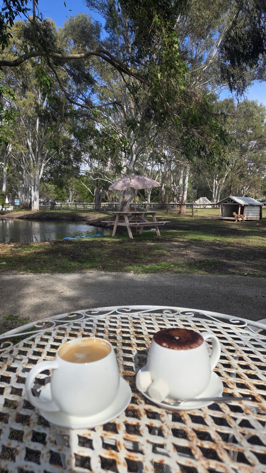 Our Farmily | 30 Bellay Rd, Beachmere QLD 4510, Australia | Phone: 0461 310 510