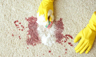 Carpet Cleaning Nollamara | health | 15B Koorooda Road, Nollamara, WA 6061, Australia | 0877019577 OR +61 8 7701 9577
