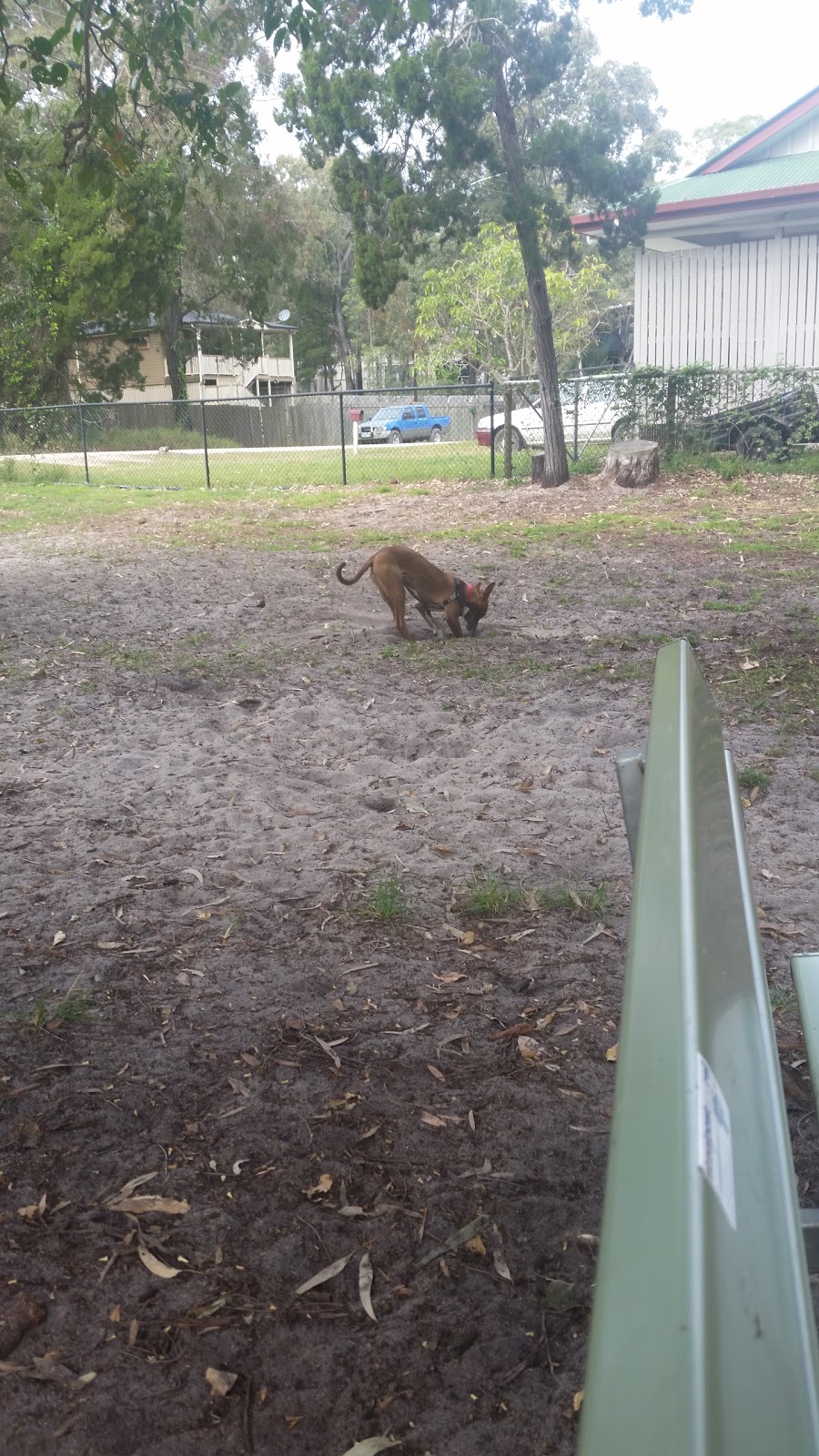Macleay island dog Park | park | Attunga Street Foreshore, 13 Attunga St, MacLeay Island QLD 4184, Australia