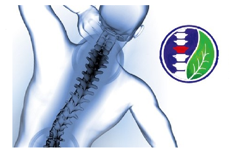 Applied Chiropractic | health | 758 High St, Armadale VIC 3143, Australia | 0475743445 OR +61 475 743 445