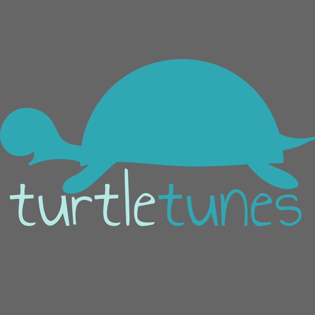 Turtle Tunes | electronics store | 15 Dunlop Ave, Ascot Vale VIC 3032, Australia | 0450000786 OR +61 450 000 786