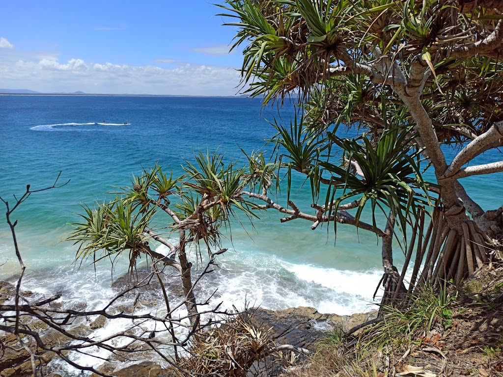 Boiling Pot Lookout | Coastal Walk, Noosa Heads QLD 4567, Australia | Phone: 13 74 68