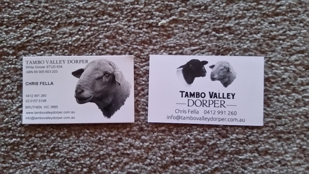 Tambo Valley Dorpers | 253 Bruthen-Nowa Nowa Rd, Bruthen VIC 3885, Australia | Phone: (03) 5157 5198