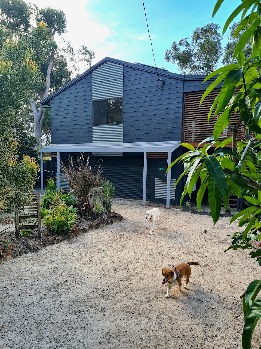 SWIFTII Pet Minding | 47 Minjerriba Rd, Russell Island QLD 4184, Australia | Phone: 0403 232 544