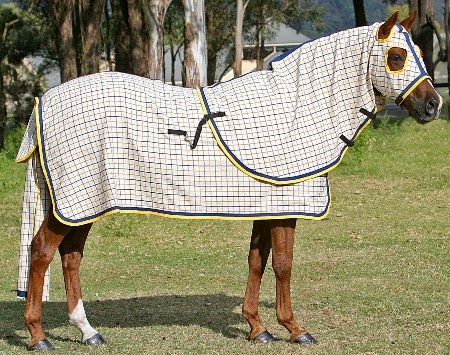 Camelot Horse Rugs | 1063 Castlereagh Rd, Castlereagh NSW 2749, Australia | Phone: (02) 4776 1300