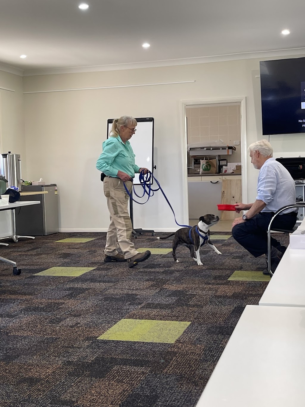 Loose Leads Dog Training | Bakers Swamp NSW 2820, Australia | Phone: 0408 018 946