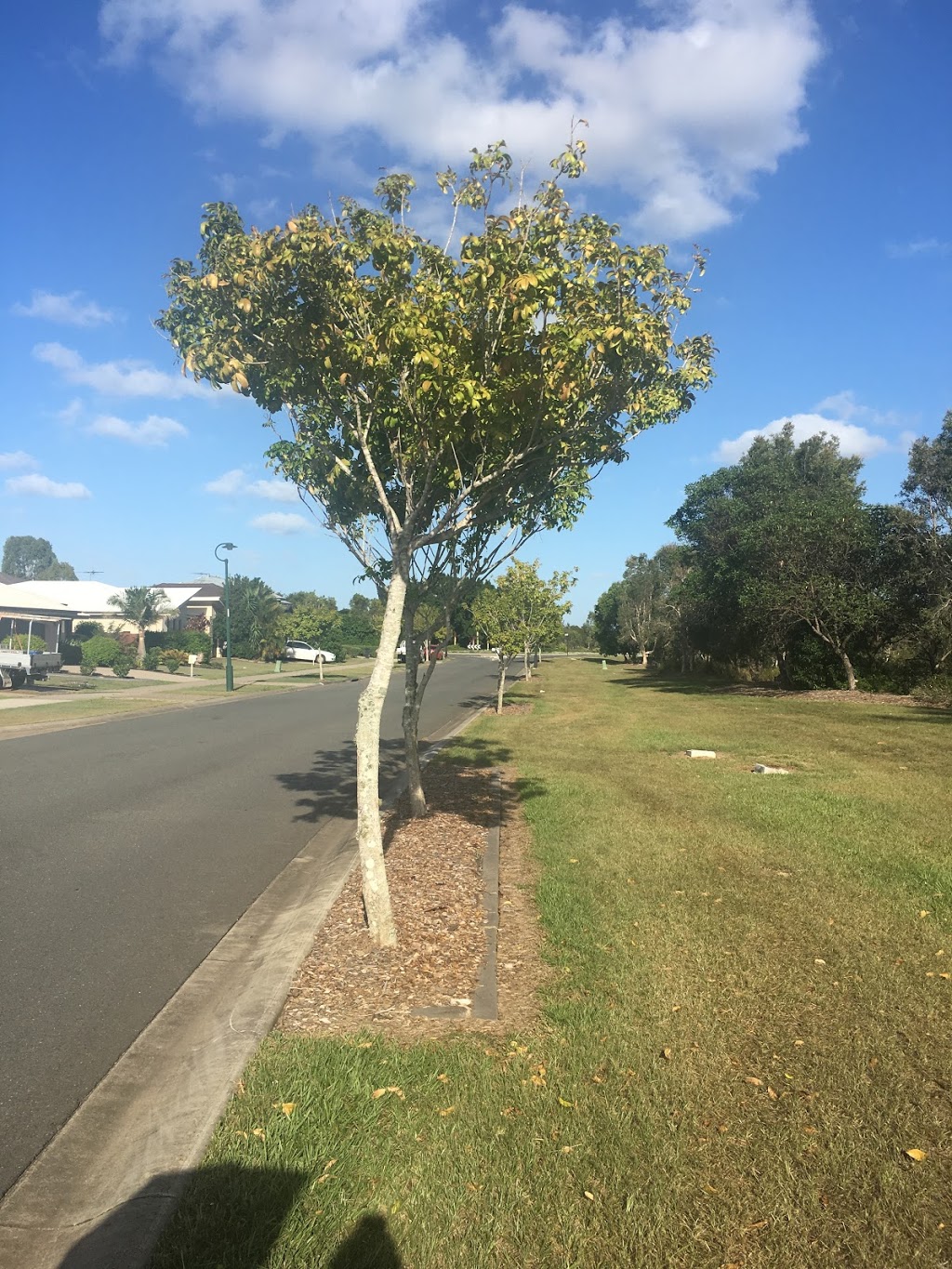 Central Lakes Park | park | Bluestar Circuit, Caboolture QLD 4510, Australia